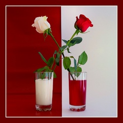 Пазл: Любовь и страсть