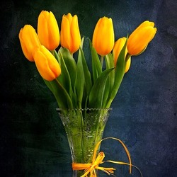 Пазл: Желтые тюльпаны