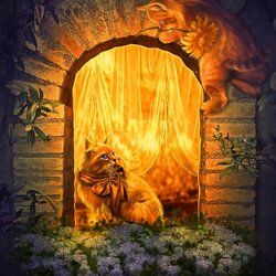 Пазлы на тему «Marilucia»