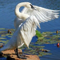 Пазл: Разминка