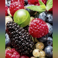 Пазл: Ягода-малина и остальные