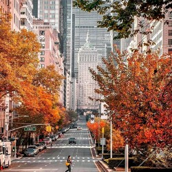 Пазл: Осенний Нью-Йорк