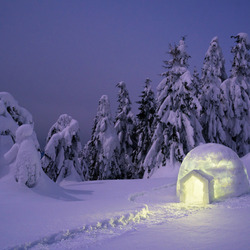 Пазл: Зимние елки