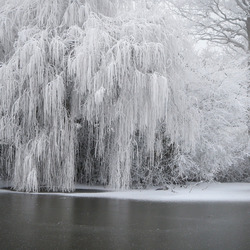 Пазл: Иней и река
