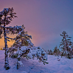 Пазл: Финляндия