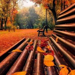 Пазл: Осенний день