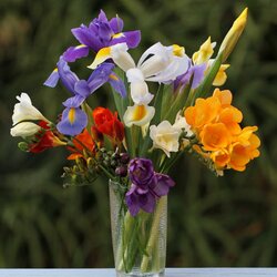 Пазл: Фрезия и ирисы