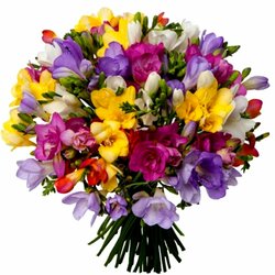 Пазл: Букет фрезии