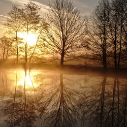 Пазл: Отражение восхода