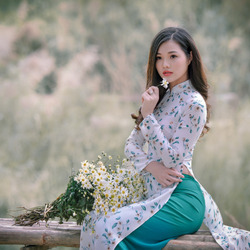 Пазл: Ромашки