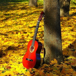 Пазл: Осенняя мелодия
