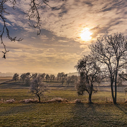 Пазл: Морозное утро