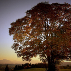 Пазл: Осень наступает