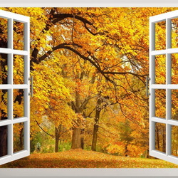 Пазл: Осень за окном
