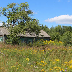 Пазл: Летний день в деревне