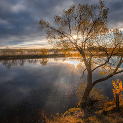 Пазл: Осенний свет