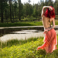 Пазл: Природа