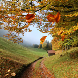 Пазл: Падают листья