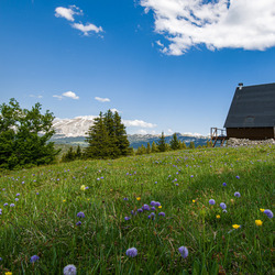Пазл: Домик в альпах