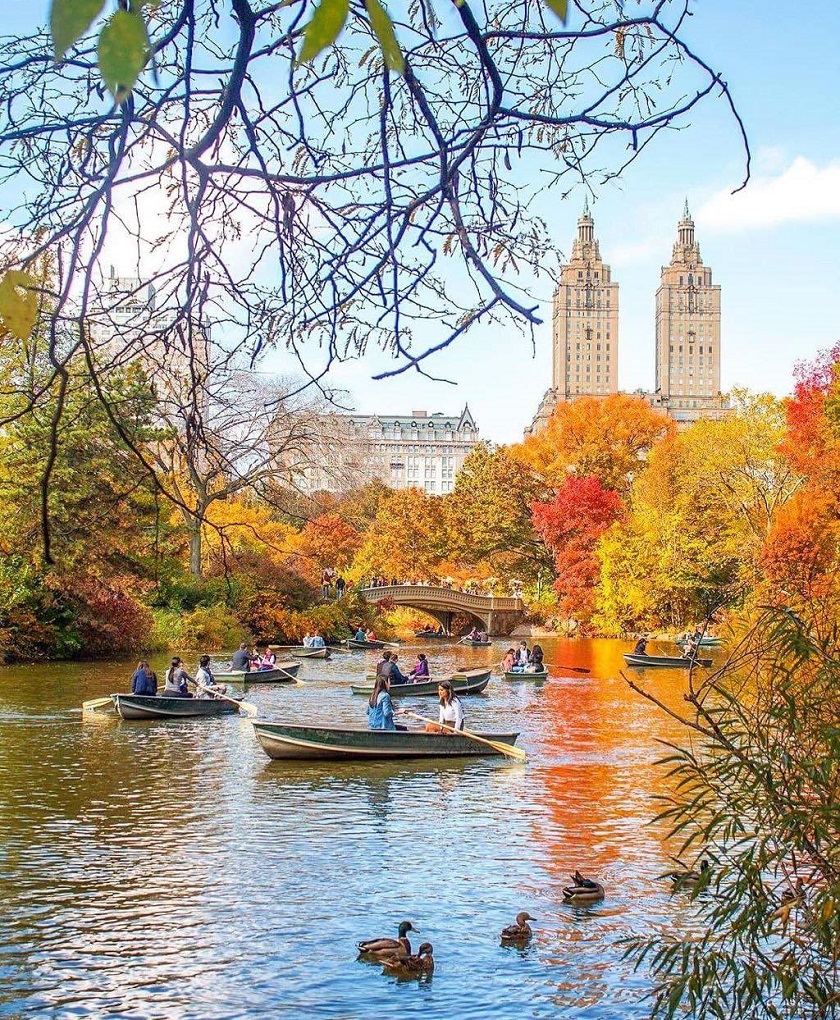 Осенний Нью-Йорк централ парк