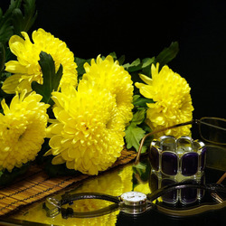 Пазл: Желтые хризантемы