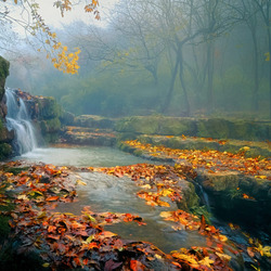 Пазл: Осенний туман