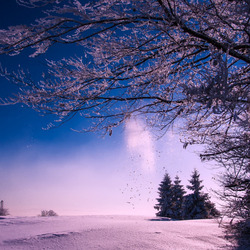 Пазл: Зимнее поле