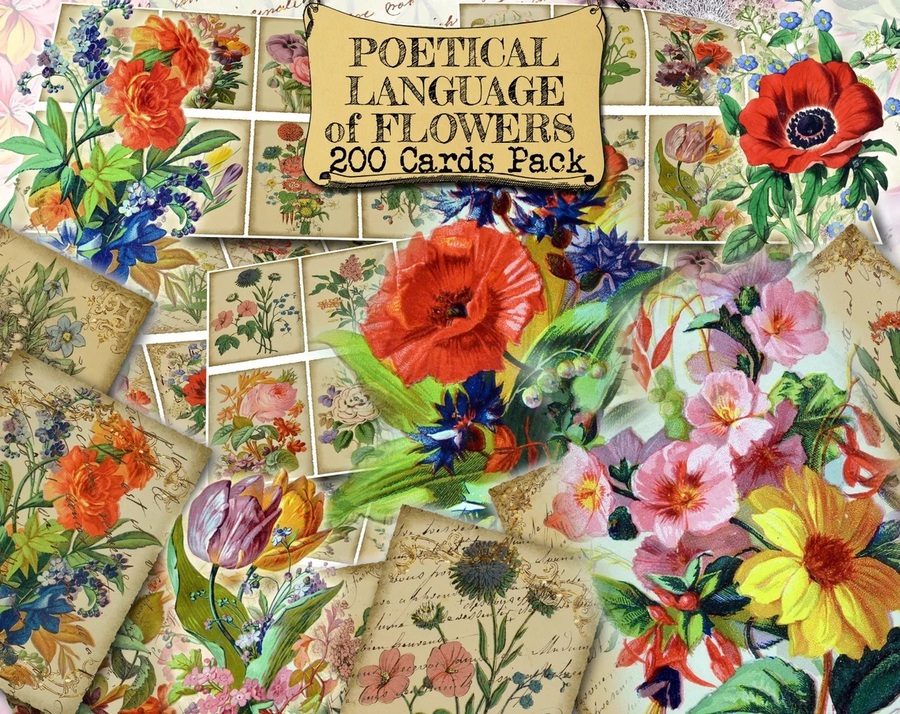 Пазл «Открытки» из 285 элементов | Собрать онлайн пазл №266145