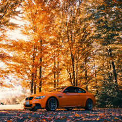 Пазл: Осень