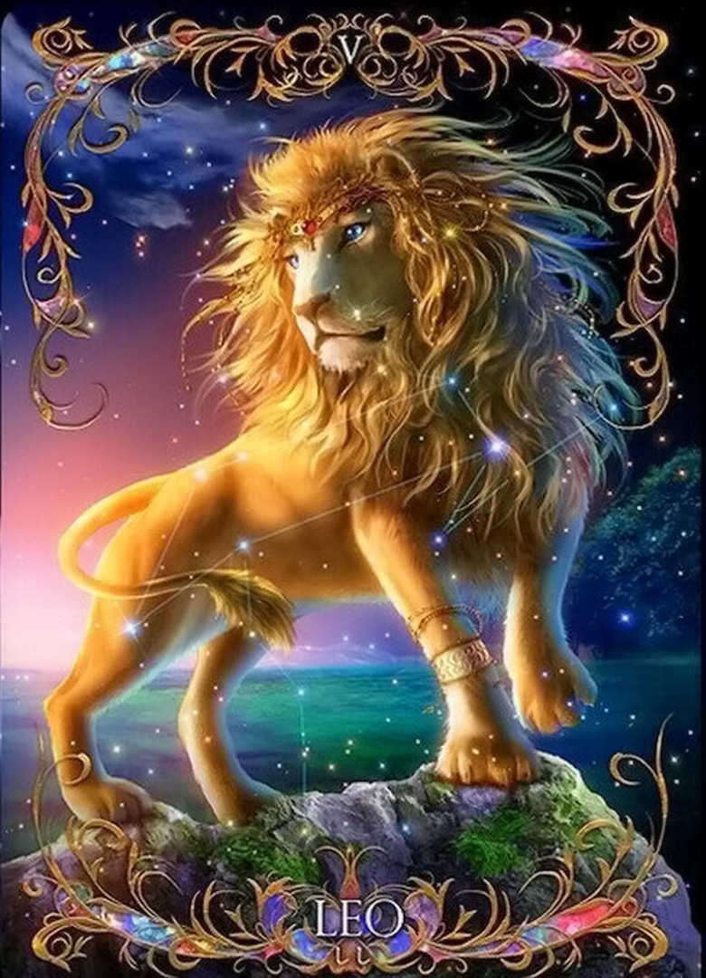 знак зодиака лев красивые картинки