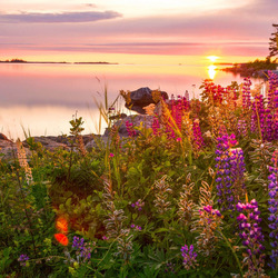 Пазл: Летний вечер