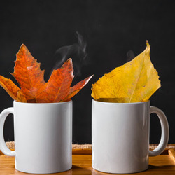 Пазл: Кружки с листиками