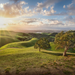 Пазл: Холмы залитые солнцем
