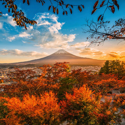Пазл: Золотые краски осени
