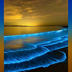 Пазл: Биолюминесцентный пляж Мангалор