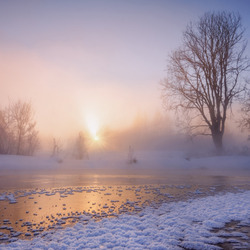 Пазл: Морозное утро
