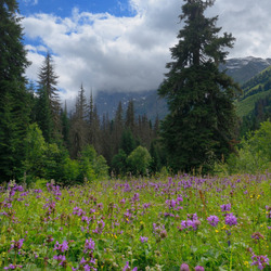 Пазл: Горы Кавказа