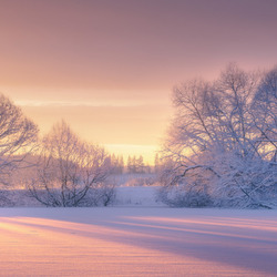 Пазл: Снежный рассвет
