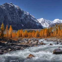 Пазл: Горная река