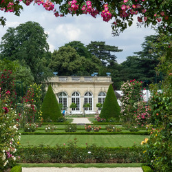 Пазл: Цветущий сад