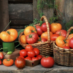 Пазл: Помидорчики