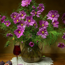 Пазл: Букет космеи