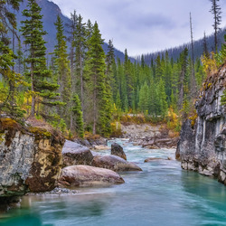 Пазл: Горная река