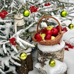 Пазл: Яблоки на снегу