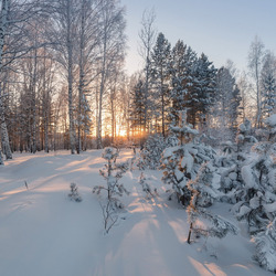 Пазл: Зимние сугробы