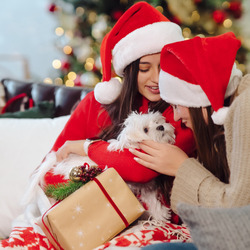 Пазл: Собака