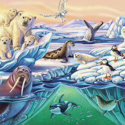 Пазл: Арктические животные 