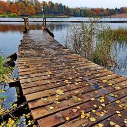 Пазл: Уютное местечко