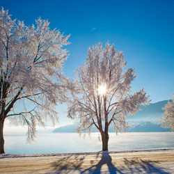 Пазл: Зимнее озеро