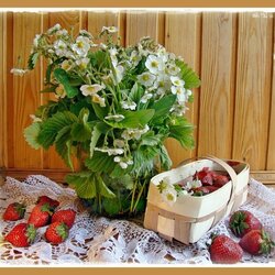 Пазл: Июньский натюрморт